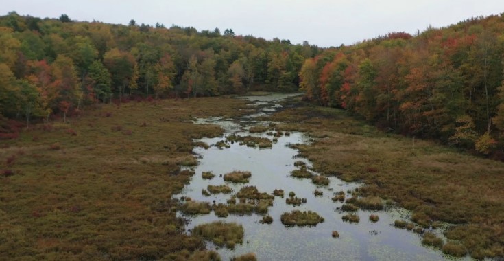 370+ Land Sale / Bethel, NY - Sullivan County